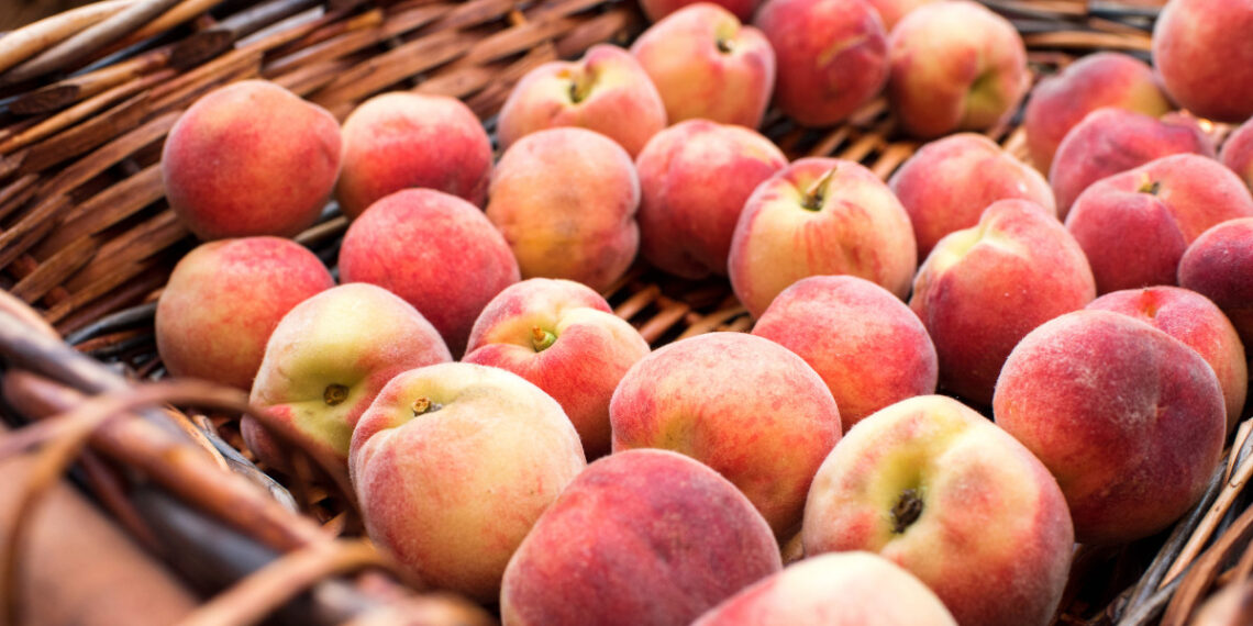 Barackszínű Álom: Így Lesz Tökéletes Az Esküvőd A Peach Fuzz Árnyalattal