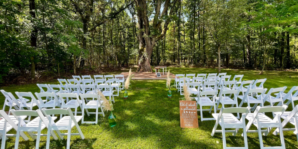 Esküvő a Tündérek Völgyében: Fedezd Fel a Wedding Wood Varázsát!